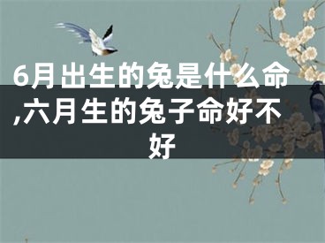 6月出生的兔是什么命,六月生的兔子命好不好