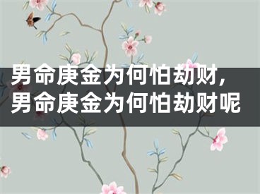 男命庚金为何怕劫财,男命庚金为何怕劫财呢