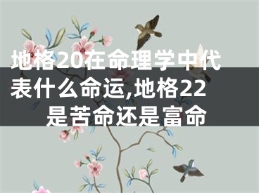 地格20在命理学中代表什么命运,地格22是苦命还是富命