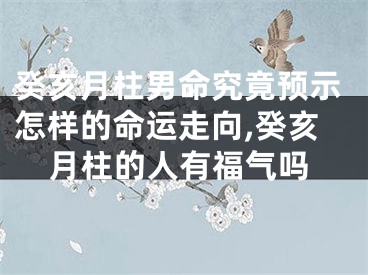 癸亥月柱男命究竟预示怎样的命运走向,癸亥月柱的人有福气吗