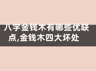 八字金钱木有哪些优缺点,金钱木四大坏处