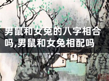 男鼠和女兔的八字相合吗,男鼠和女兔相配吗