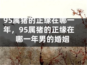 95属猪的正缘在哪一年，95属猪的正缘在哪一年男的婚姻