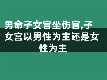 男命子女宫坐伤官,子女宫以男性为主还是女性为主