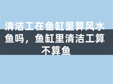 清洁工在鱼缸里算风水鱼吗，鱼缸里清洁工算不算鱼