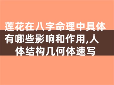 莲花在八字命理中具体有哪些影响和作用,人体结构几何体速写
