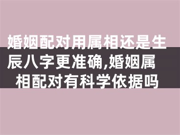 婚姻配对用属相还是生辰八字更准确,婚姻属相配对有科学依据吗