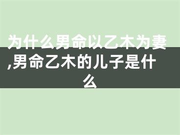 为什么男命以乙木为妻,男命乙木的儿子是什么