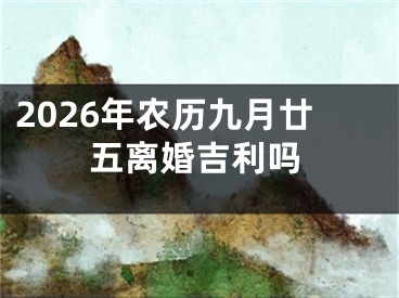 2026年农历九月廿五离婚吉利吗