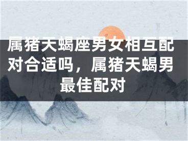 属猪天蝎座男女相互配对合适吗,属猪天蝎男最佳配对