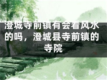 澄城寺前镇有会看风水的吗,澄城县寺前镇的寺院