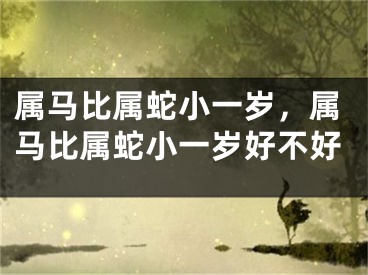 属马比属蛇小一岁，属马比属蛇小一岁好不好