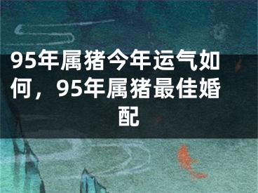 95年属猪今年运气如何，95年属猪最佳婚配