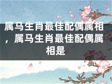 属马生肖最佳配偶属相，属马生肖最佳配偶属相是