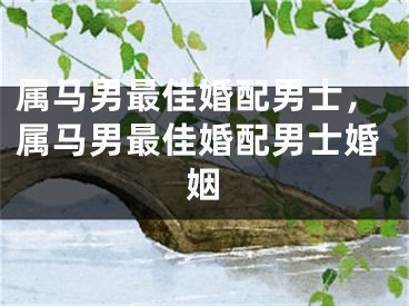 属马男最佳婚配男士，属马男最佳婚配男士婚姻