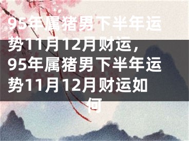 95年属猪男下半年运势11月12月财运，95年属猪男下半年运势11月12月财运如何