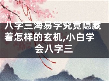 八字三海易学究竟隐藏着怎样的玄机,小白学会八字三