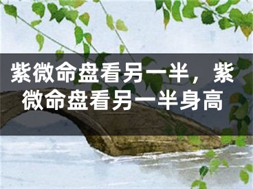 紫微命盘看另一半，紫微命盘看另一半身高