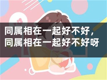 同属相在一起好不好，同属相在一起好不好呀