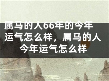 属马的人66年的今年运气怎么样，属马的人今年运气怎么样