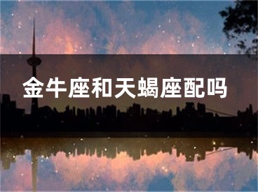 金牛座和天蝎座配吗