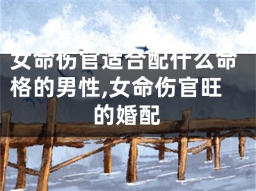 女命伤官适合配什么命格的男性,女命伤官旺的婚配