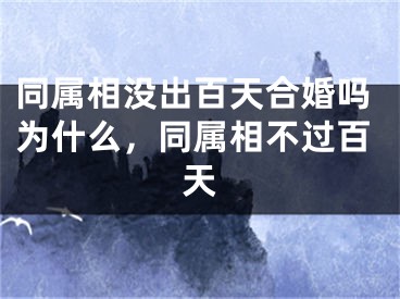 同属相没出百天合婚吗为什么,同属相不过百天