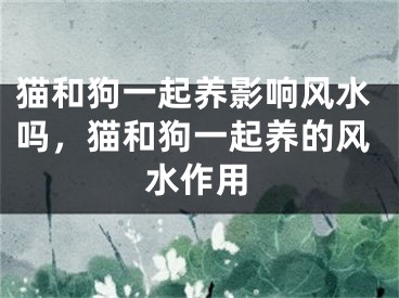 猫和狗一起养影响风水吗，猫和狗一起养的风水作用