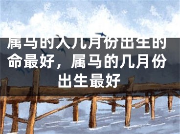 属马的人几月份出生的命最好，属马的几月份出生最好