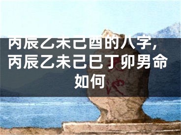 丙辰乙未己酉的八字,丙辰乙未己巳丁卯男命如何