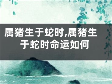 属猪生于蛇时,属猪生于蛇时命运如何