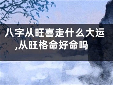八字从旺喜走什么大运,从旺格命好命吗