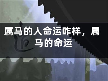 属马的人命运咋样，属马的命运