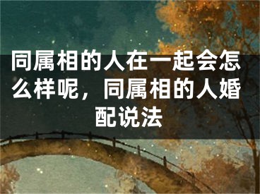 同属相的人在一起会怎么样呢，同属相的人婚配说法