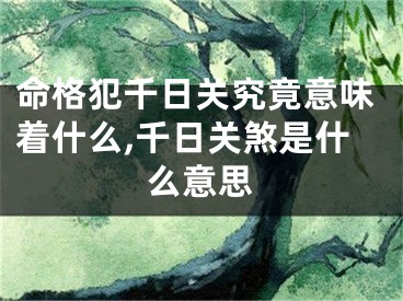 命格犯千日关究竟意味着什么,千日关煞是什么意思