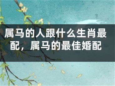 属马的人跟什么生肖最配，属马的最佳婚配
