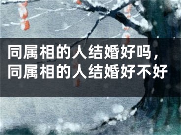 同属相的人结婚好吗，同属相的人结婚好不好