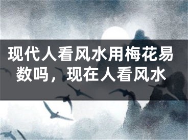 现代人看风水用梅花易数吗，现在人看风水
