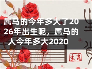 属马的今年多大了2026年出生呢,属马的人今年多大2020