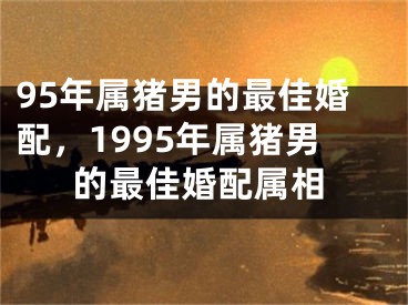 95年属猪男的最佳婚配，1995年属猪男的最佳婚配属相