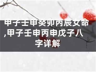 甲子壬申癸卯丙辰女命,甲子壬申丙申戊子八字详解