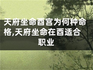 天府坐命酉宫为何种命格,天府坐命在酉适合职业