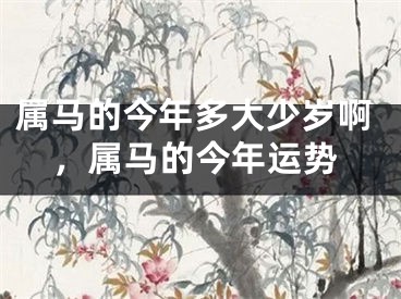 属马的今年多大少岁啊，属马的今年运势