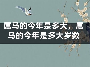 属马的今年是多大，属马的今年是多大岁数