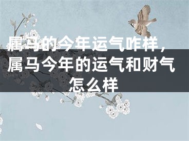 属马的今年运气咋样，属马今年的运气和财气怎么样