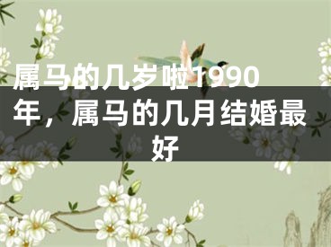 属马的几岁啦1990年，属马的几月结婚最好