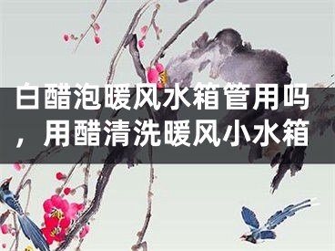 白醋泡暖风水箱管用吗，用醋清洗暖风小水箱