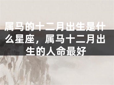 属马的十二月出生是什么星座，属马十二月出生的人命最好