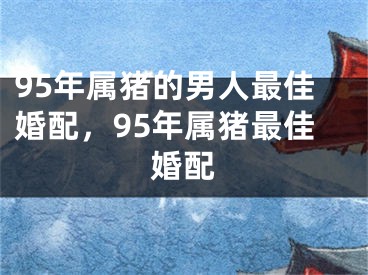 95年属猪的男人最佳婚配，95年属猪最佳婚配