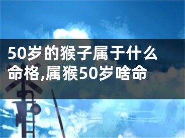 50岁的猴子属于什么命格,属猴50岁啥命